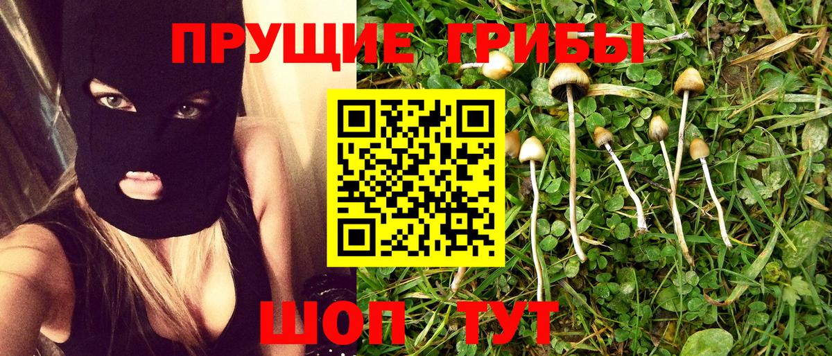 Псилоцибиновые грибы GOLDEN TEACHER Трёхгорный